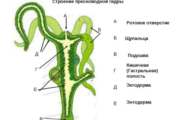 BlackSprut web