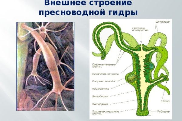 Омг онион тор браузер