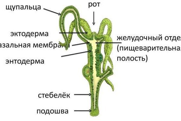 Официальный сайт крамп онион